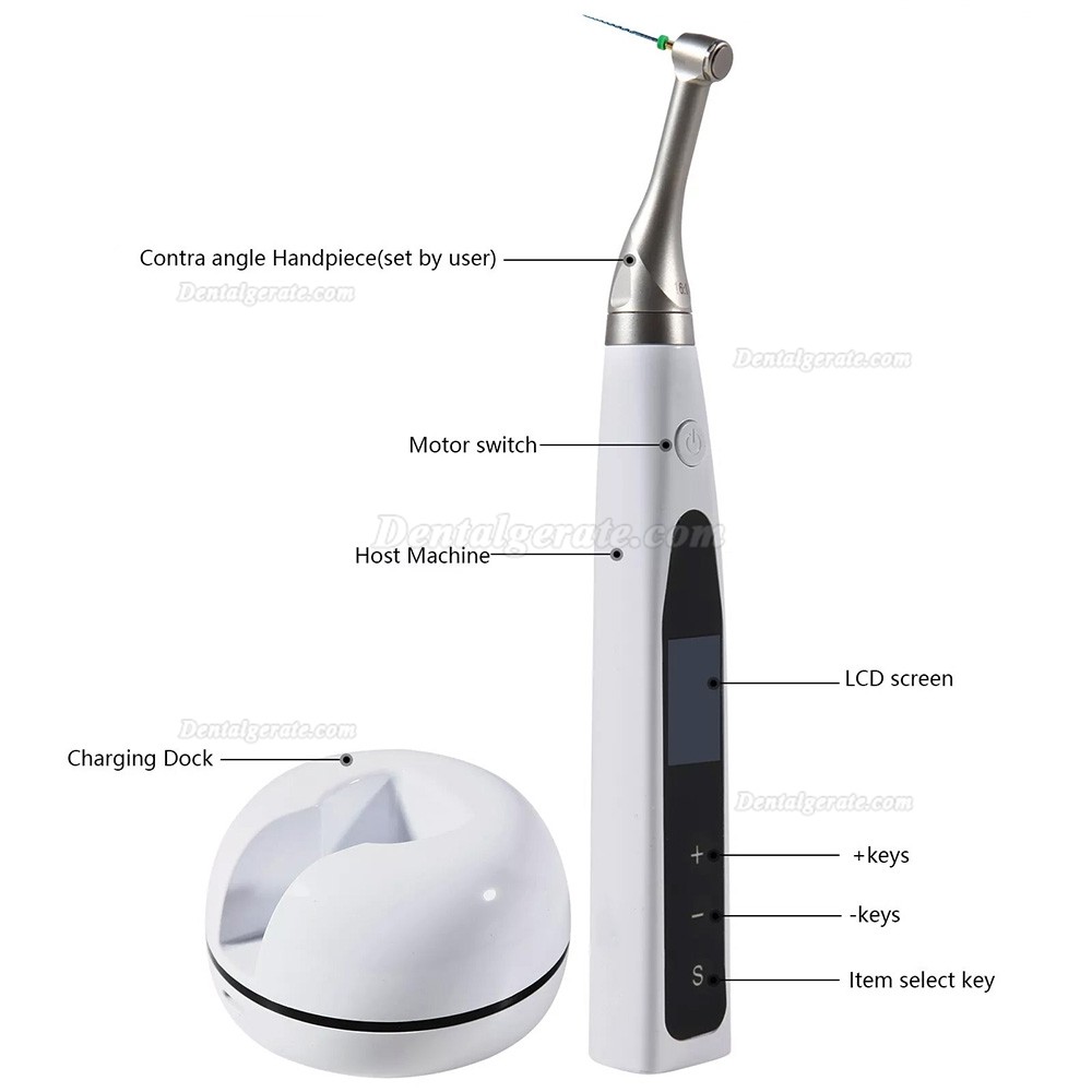 XLY XLY-Q200C Dental Kabelloser Endomotor mit mit Apex-Lokalisierer zu ...