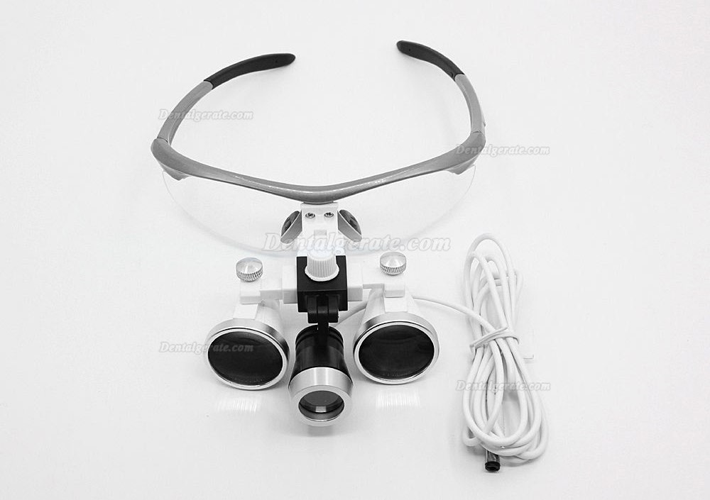 Dental Surgical 3.5X420mm Binokularlupen + LED Scheinwerfer + Aluminium Box Silber