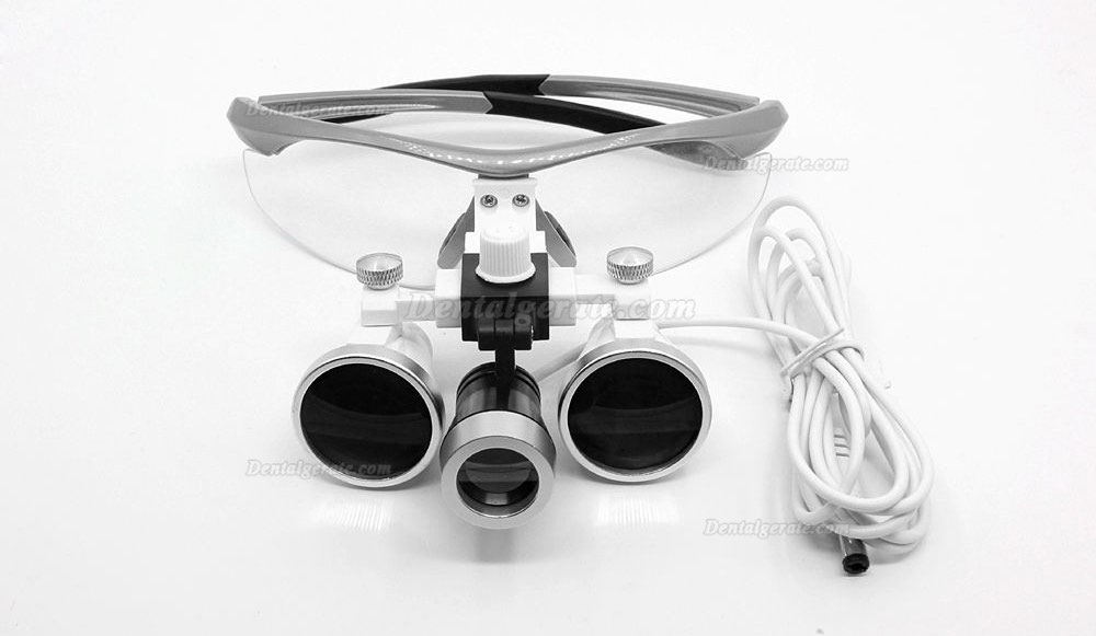 Dental Surgical 3.5X420mm Binokularlupen + LED Scheinwerfer + Aluminium Box Silber