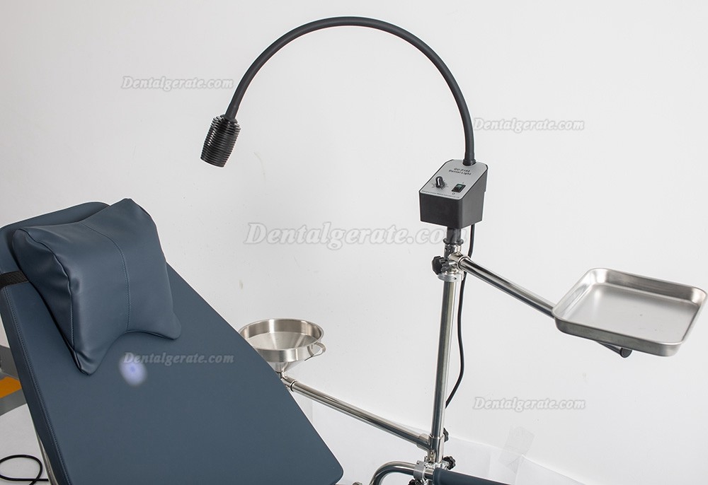 Greeloy GU-P101 Tragbare Zahnarztst&uuml;hle Edelstahlrahmen Instrumententablett mit schwarzem Rucksack