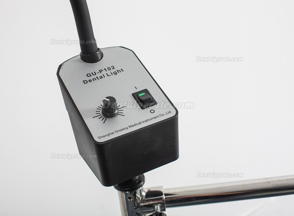 Greeloy GU-P101 Tragbare Zahnarztst&uuml;hle Edelstahlrahmen Instrumententablett mit schwarzem Rucksack