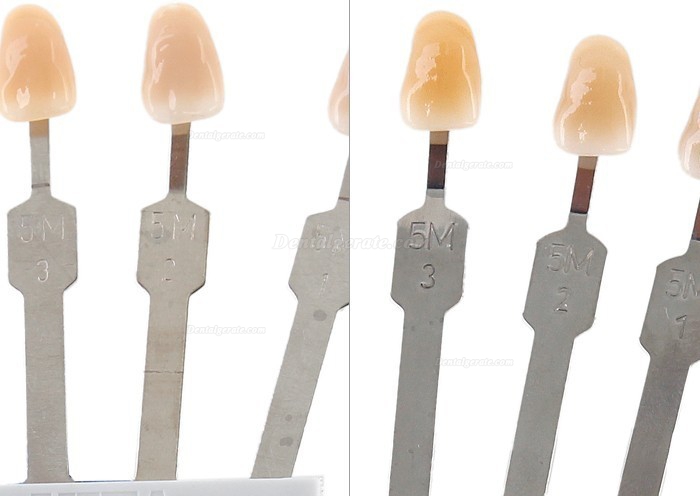 VITA&reg;3D-MASTER Tooth Shade Guide