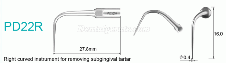 10 Stück Refine® UltraschallScaler Piezo Spitzen für Parodontologie PD2L PD2LD PD2R PD2RD PD5 PD6 PD7 PD8 PD10 (Kompatibel mit SATELEC NSK DTE GNATUS)