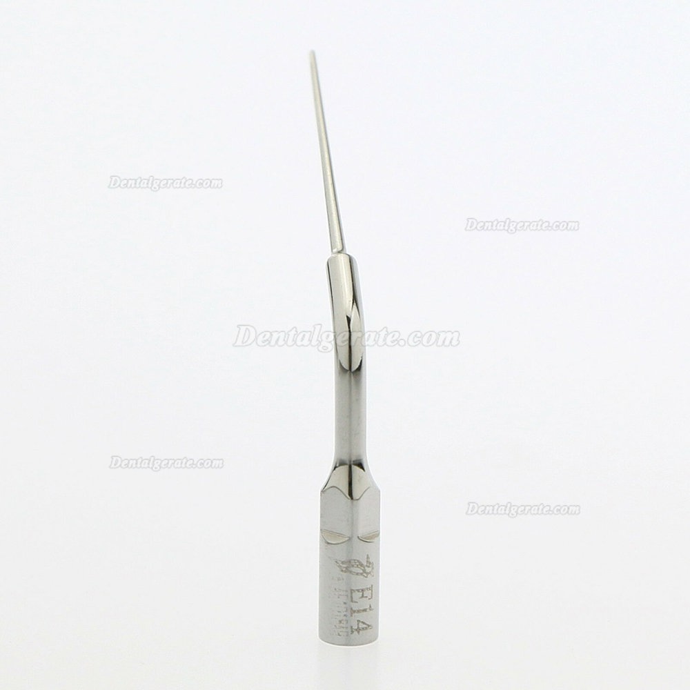 10 St&uuml;ck Woodpecker E14 Ultraschallspitzen Kompatibel mit EMS UDS